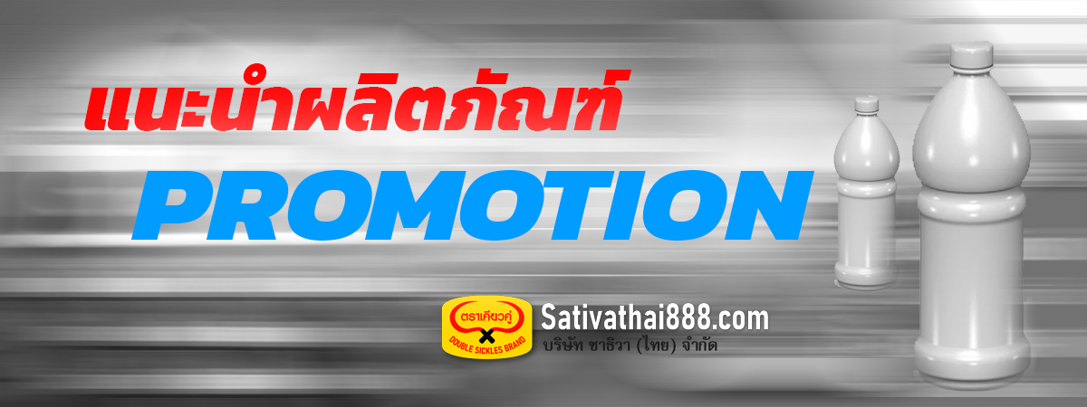 Slide Promotion 1