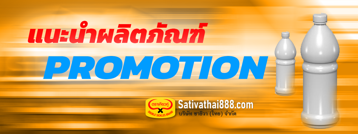 Slide Promotion 2