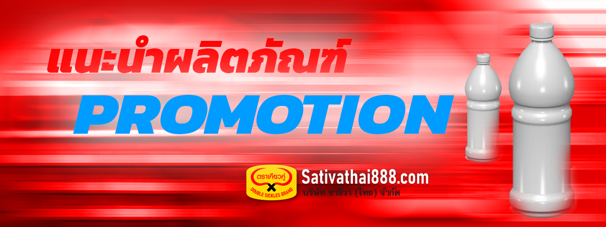 Slide Promotion 3